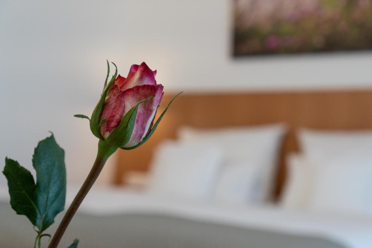 Hotel Elysee Seligenstadt Ngoại thất bức ảnh